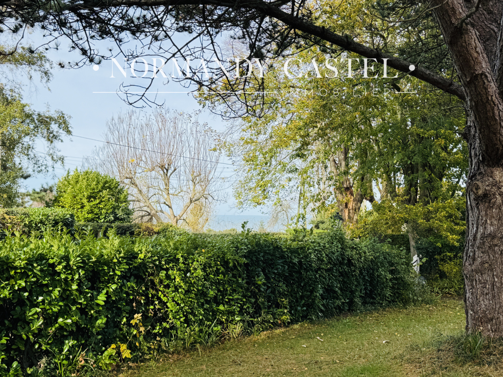 Image_, Maison et Villa, Trouville-sur-Mer, ref :1612