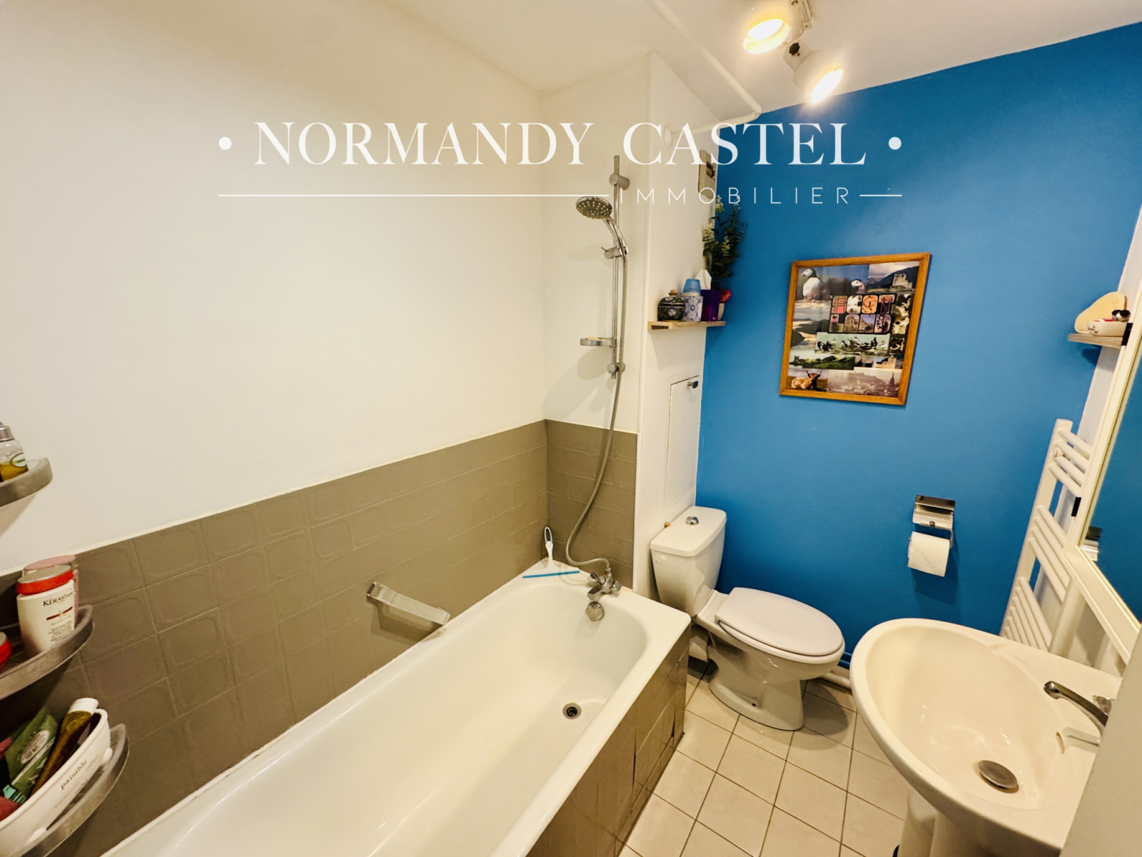 Image_, Appartement, Trouville-sur-Mer, ref :1643