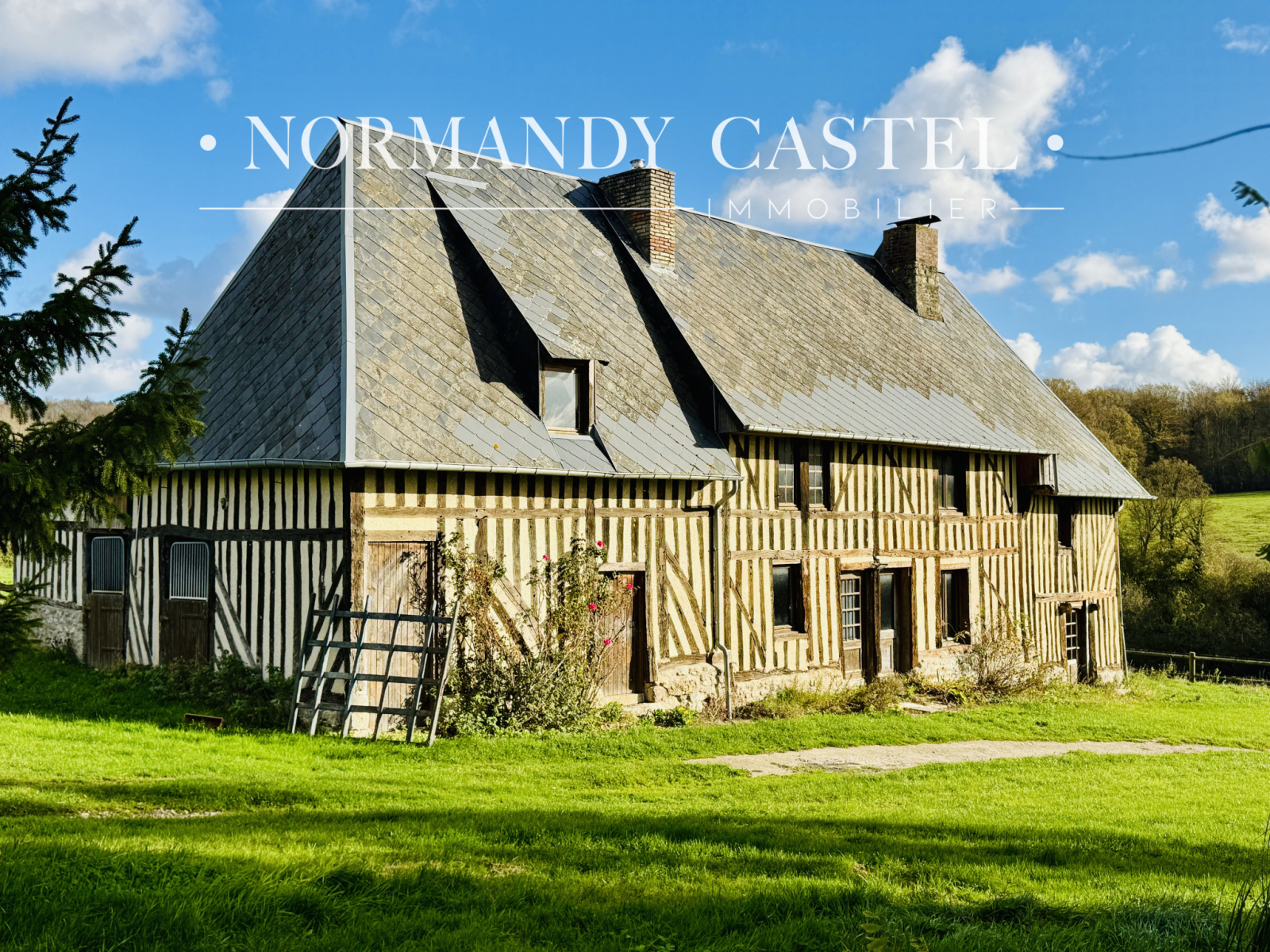 Image_, Maison et Villa, Touques, ref :1615D