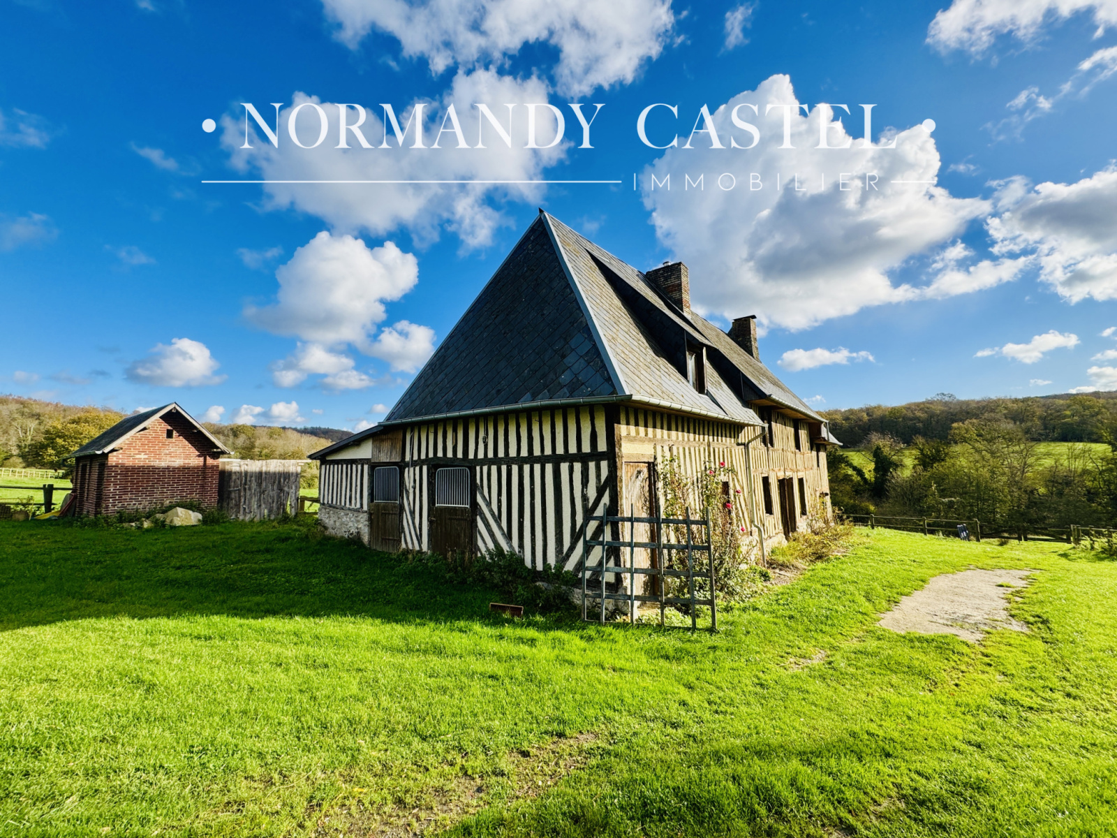 Image_, Maison et Villa, Touques, ref :1615D