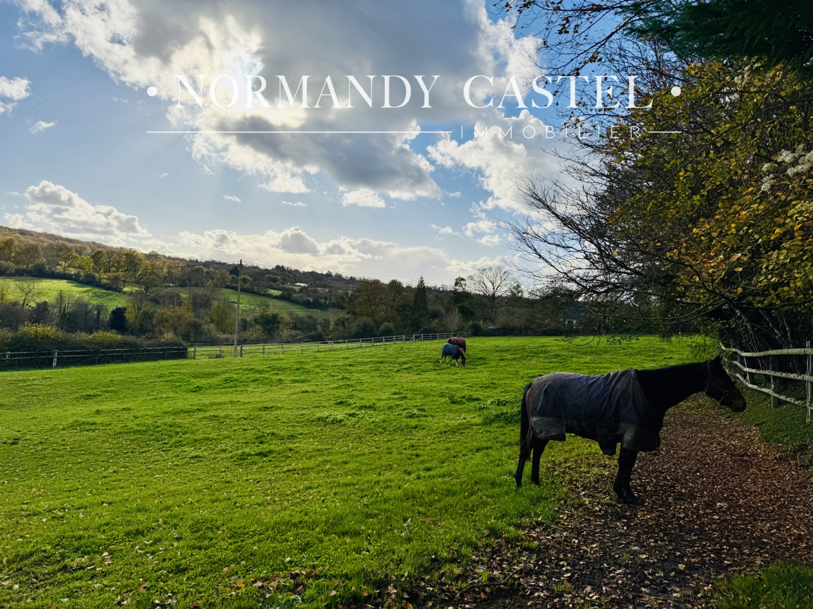 Image_, Maison et Villa, Touques, ref :1615B