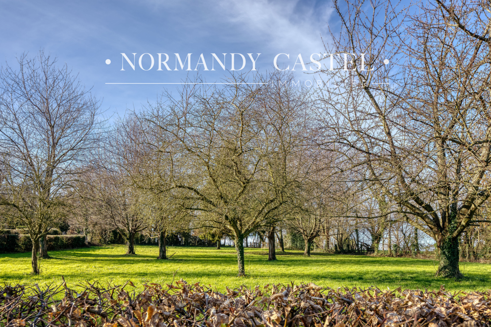 Image_, Maison et Villa, Cricqueboeuf, ref :1635