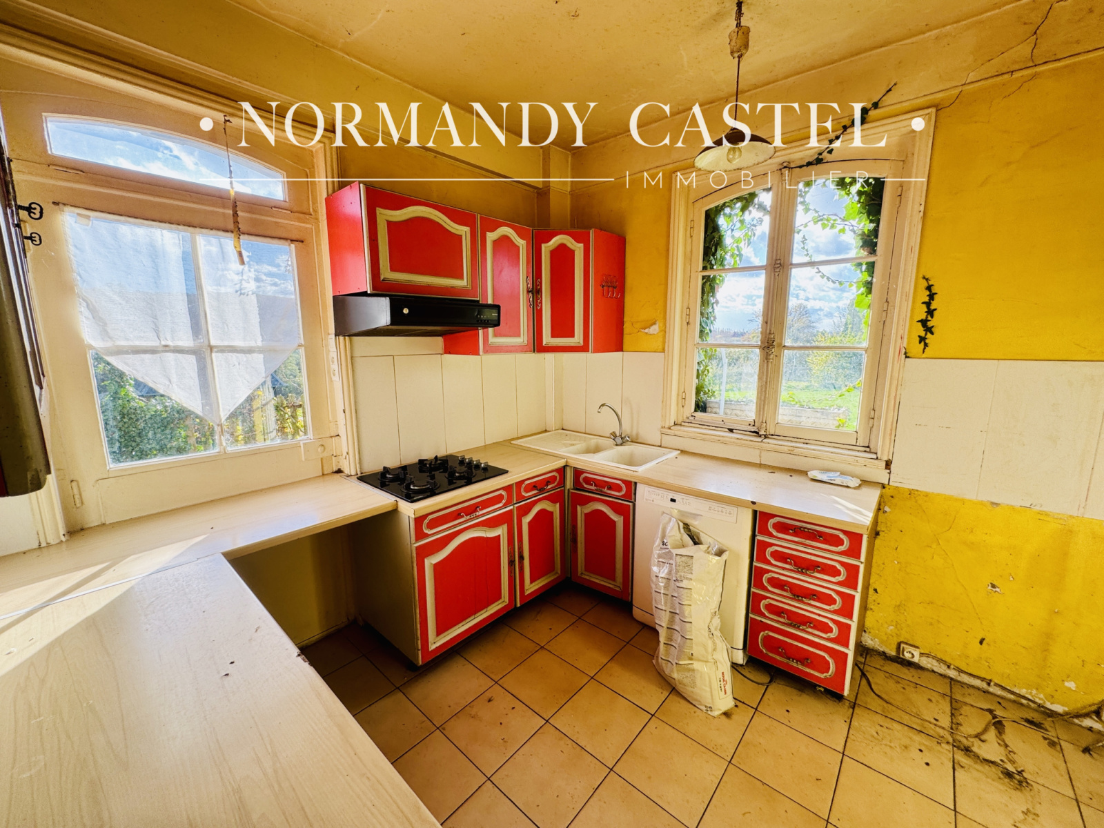 Image_, Maison et Villa, Touques, ref :1615C