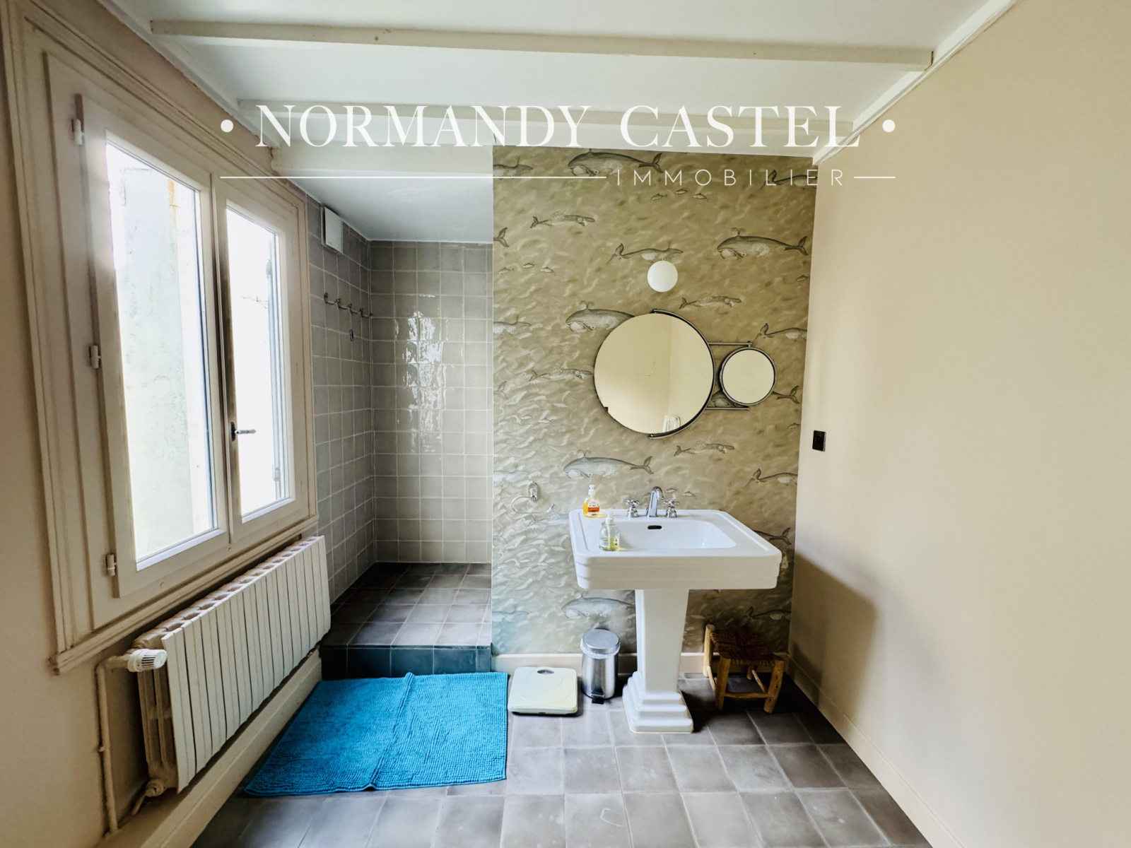 Image_, Maison et Villa, Trouville-sur-Mer, ref :1654