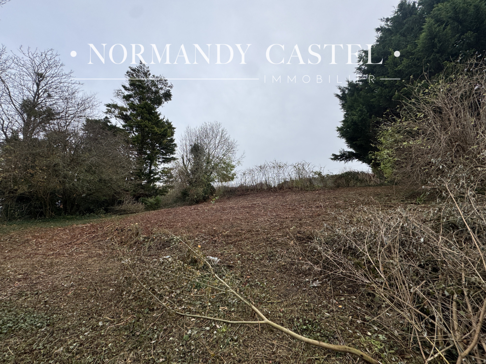 Image_, Maison et Villa, Villerville, ref :1621