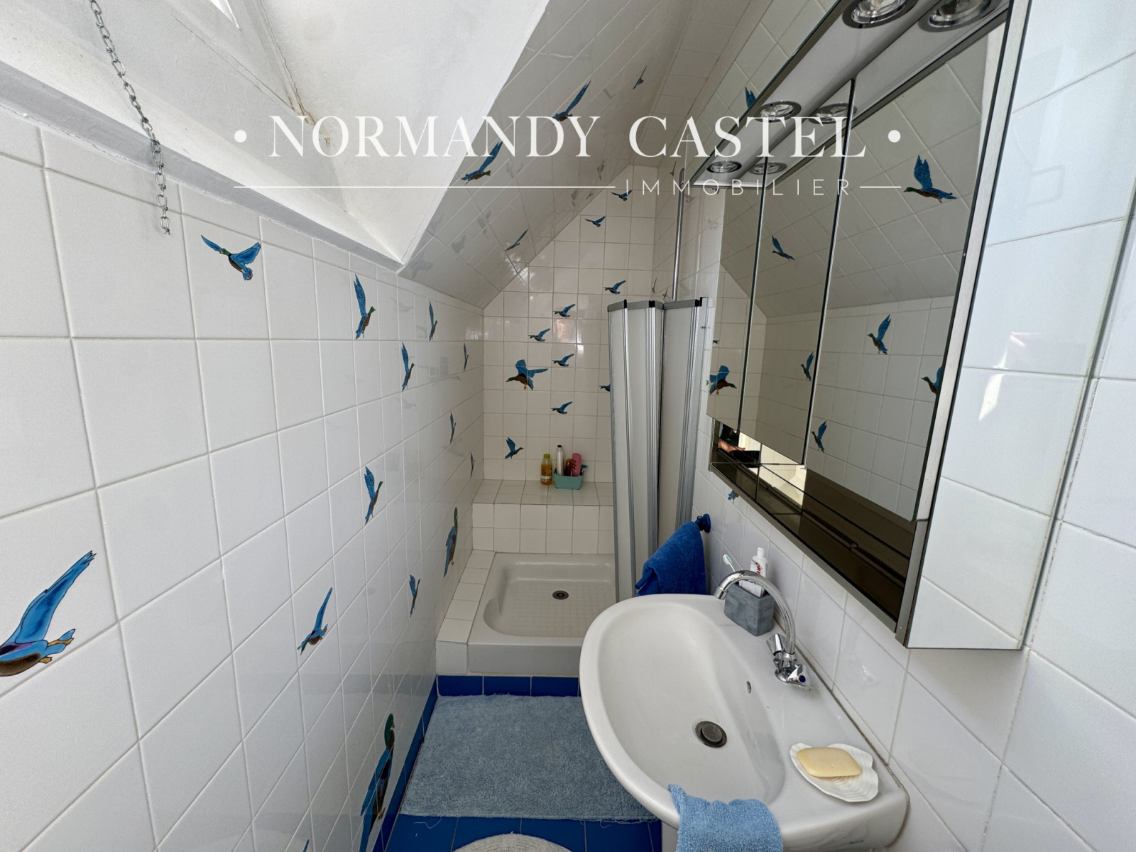 Image_, Maison et Villa, Saint-Philbert-des-Champs, ref :1641