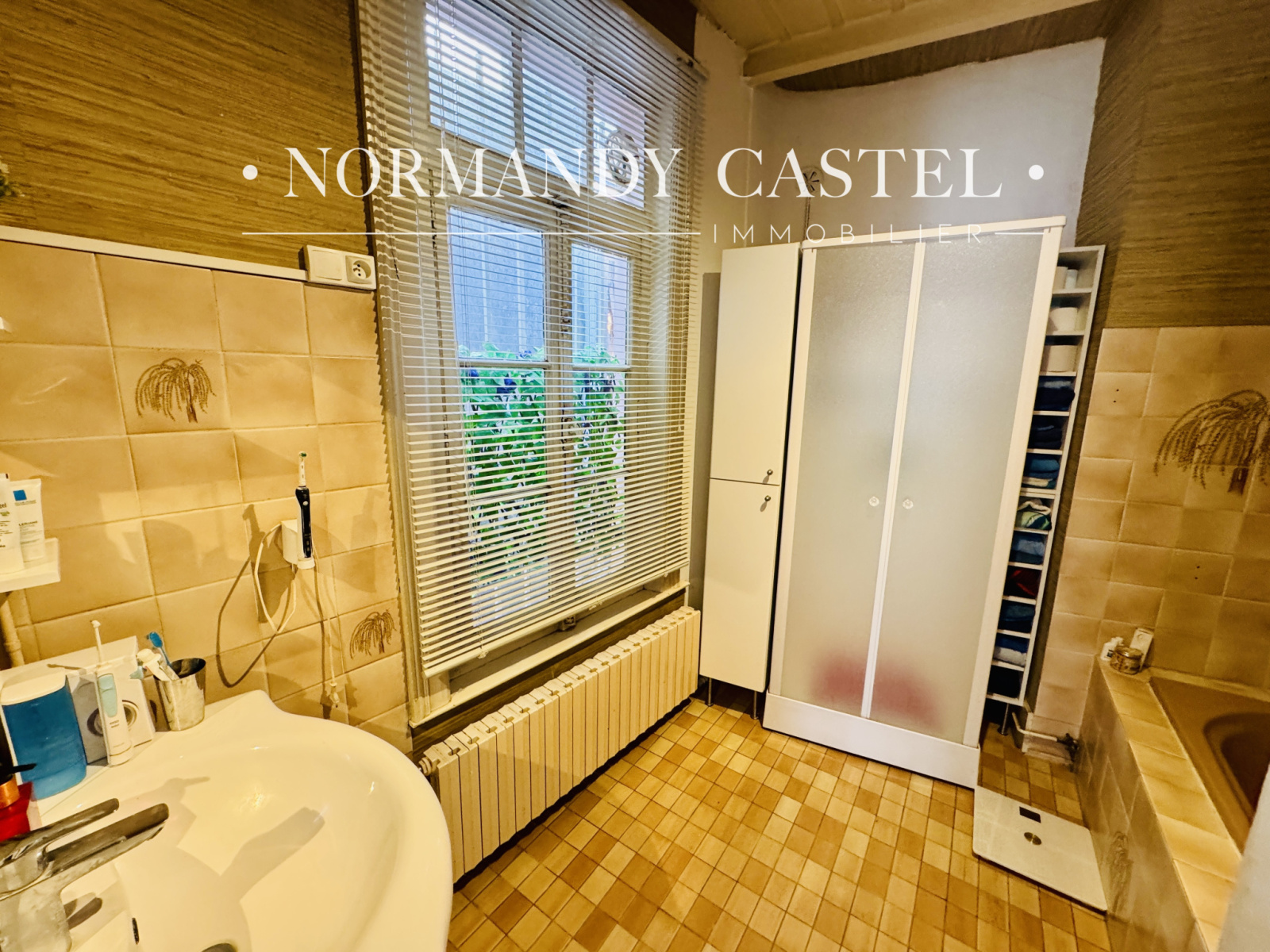 Image_, Maison et Villa, Trouville-sur-Mer, ref :1650