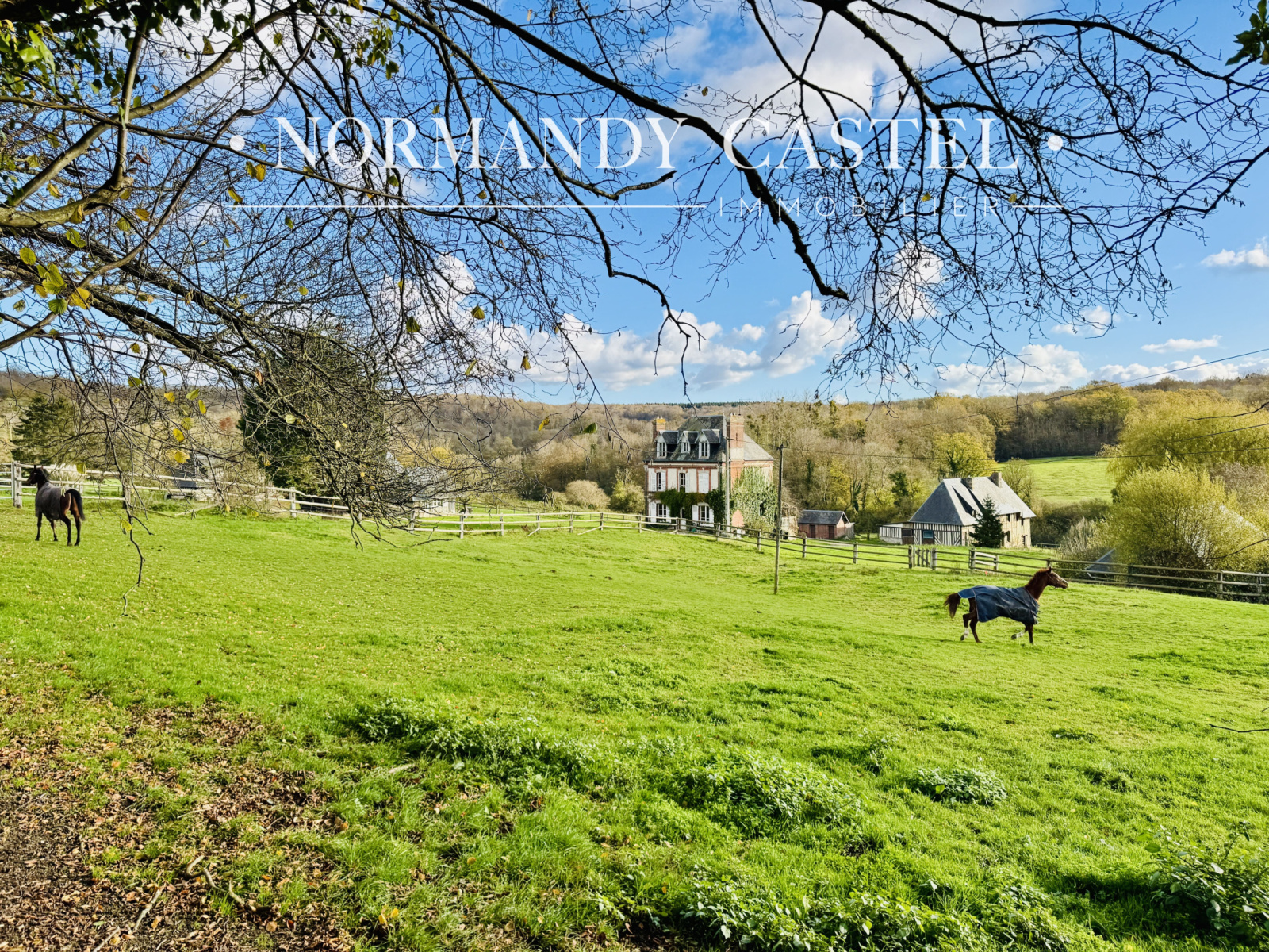 Image_, Maison et Villa, Touques, ref :1615