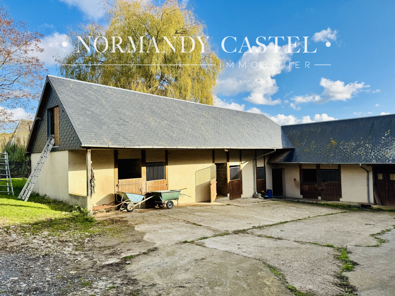 Image_, Maison et Villa, Touques, ref :1615