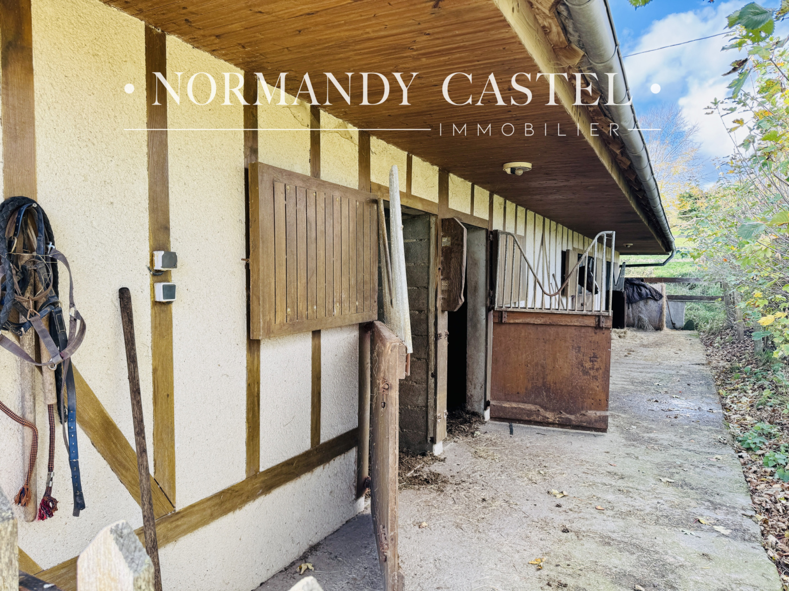 Image_, Maison et Villa, Touques, ref :1615